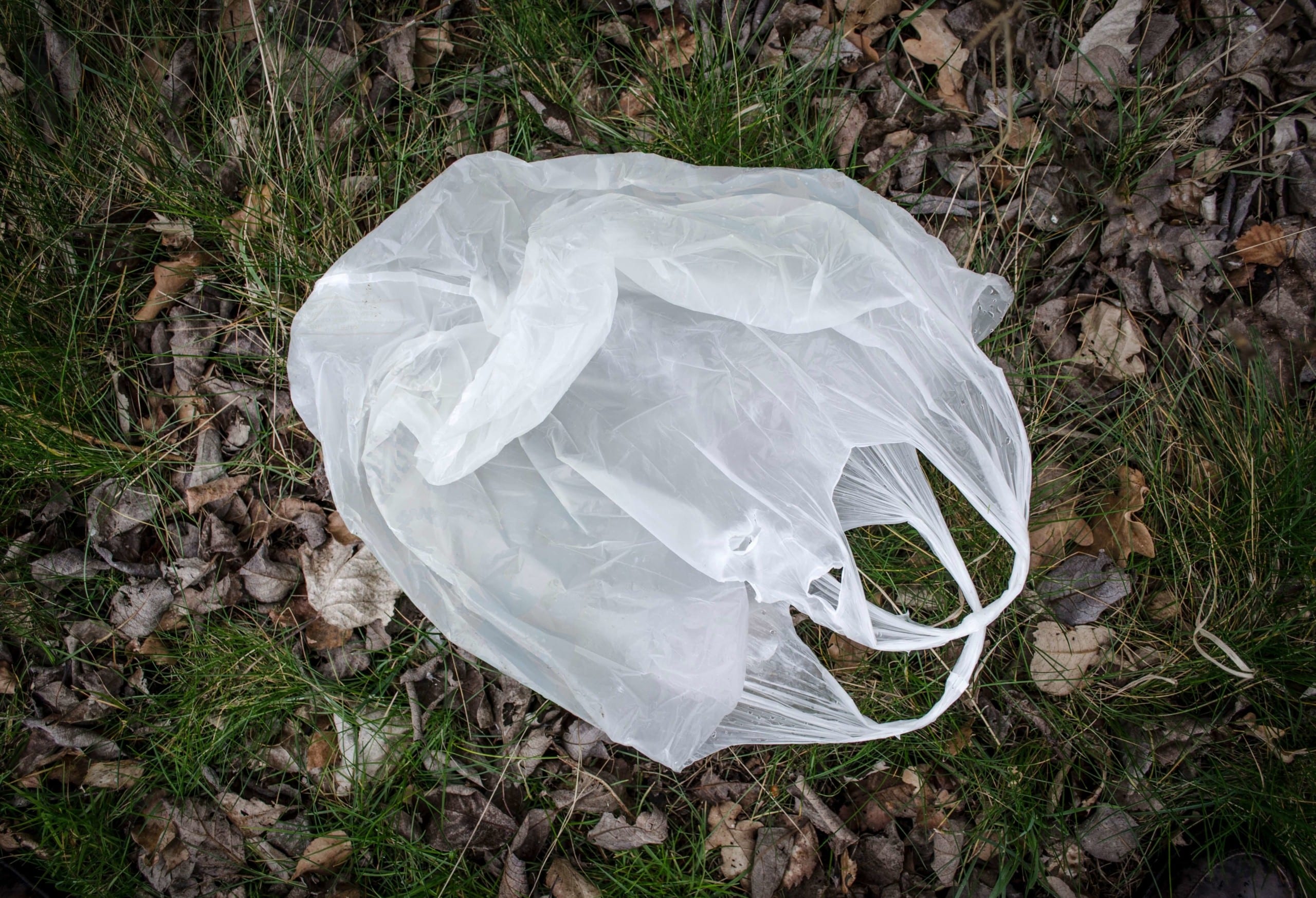 California Passes Law to Ban All Plastic Bags in Grocery Stores