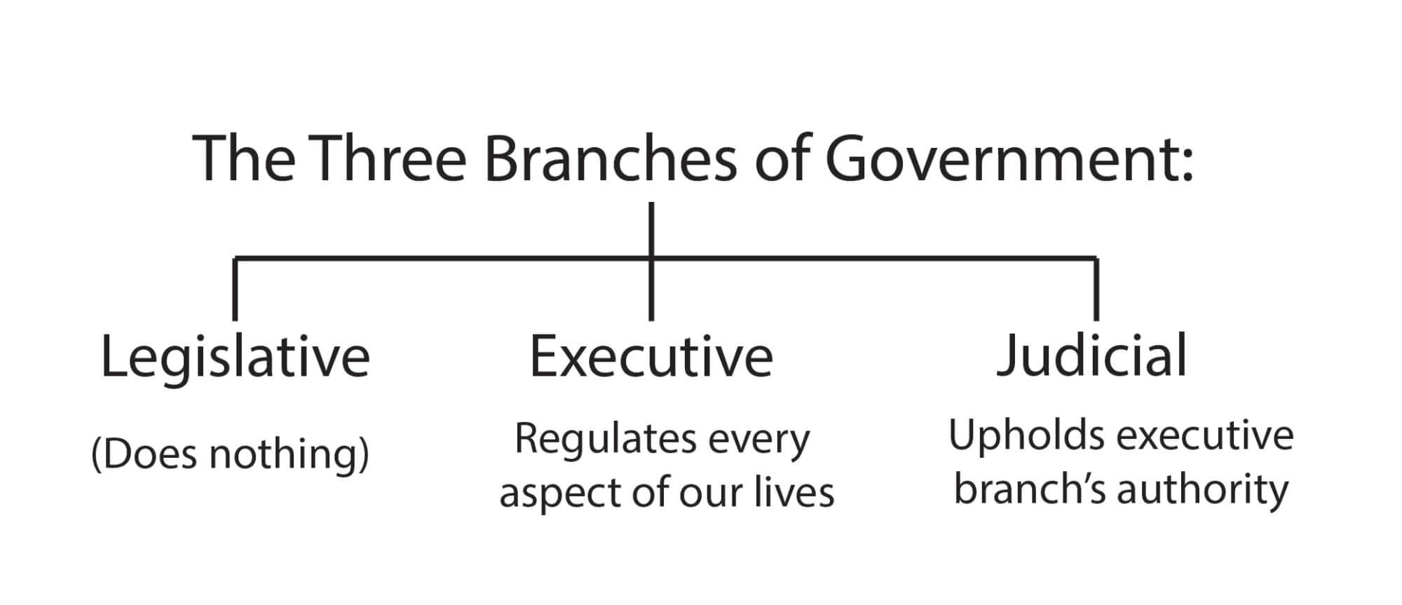 Branches Of Govt 01 2000x863 