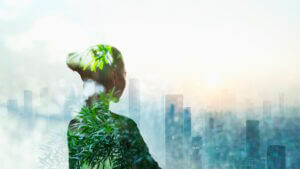 Principles of New Environmentalism